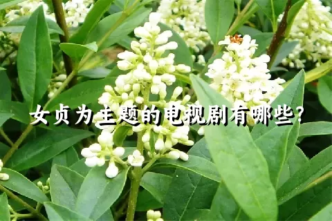 女贞为主题的电视剧有哪些？