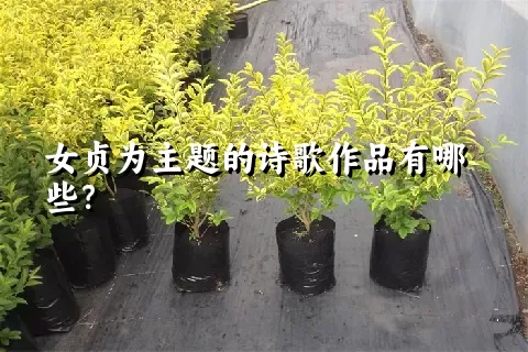 女贞为主题的诗歌作品有哪些？