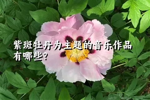 紫斑牡丹为主题的音乐作品有哪些？