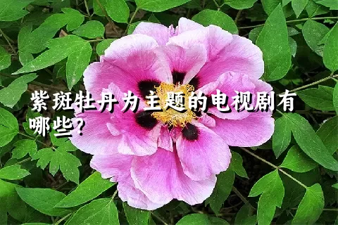 紫斑牡丹为主题的电视剧有哪些？