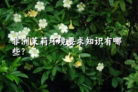 非洲茉莉环境要求知识有哪些？