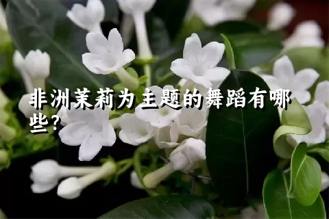 非洲茉莉为主题的舞蹈有哪些？