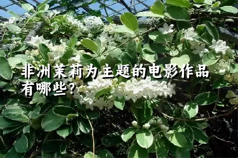 非洲茉莉为主题的电影作品有哪些？