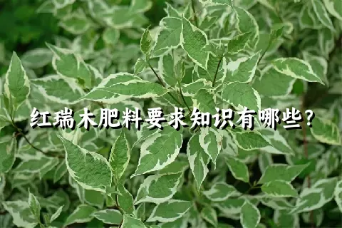 红瑞木肥料要求知识有哪些？