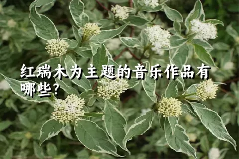 红瑞木为主题的音乐作品有哪些？