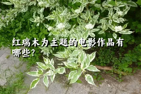 红瑞木为主题的电影作品有哪些？