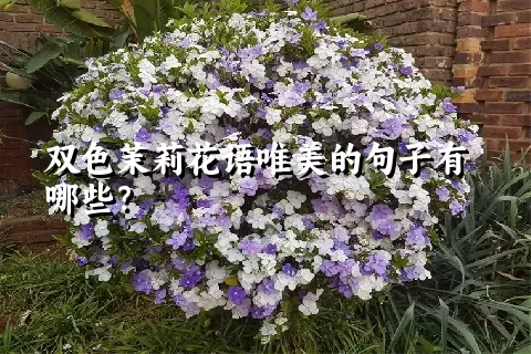 双色茉莉花语唯美的句子有哪些？