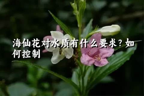 海仙花对水质有什么要求？如何控制