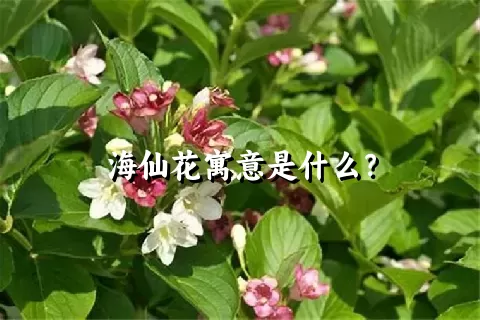 海仙花寓意是什么？