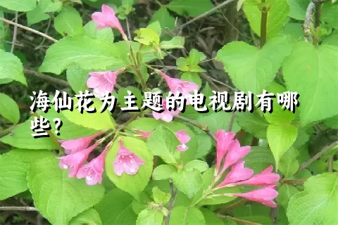海仙花为主题的电视剧有哪些？