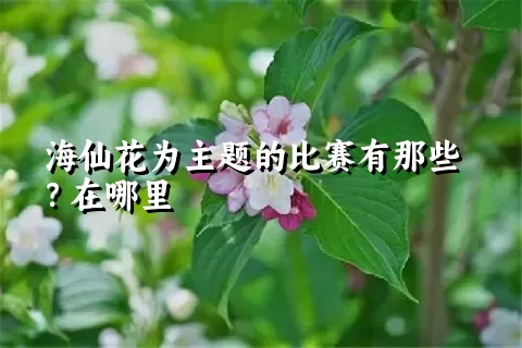 海仙花为主题的比赛有那些？在哪里
