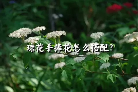 琼花手捧花怎么搭配？