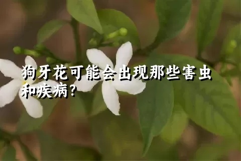 狗牙花可能会出现那些害虫和疾病？