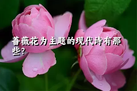 蔷薇花为主题的现代诗有那些？