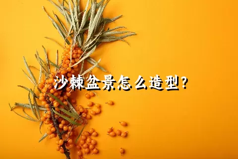 沙棘盆景怎么造型？