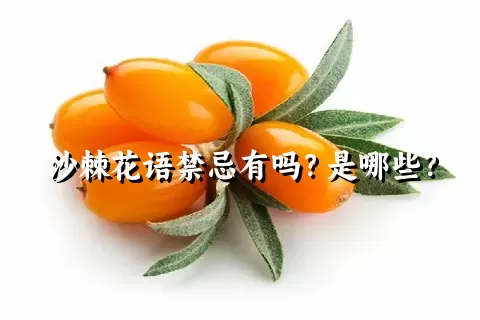 沙棘花语禁忌有吗？是哪些？