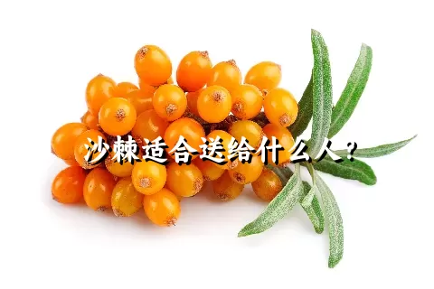 沙棘适合送给什么人？