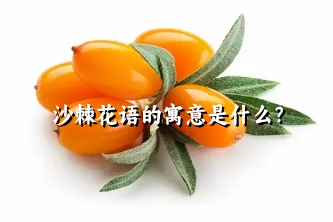 沙棘花语的寓意是什么？