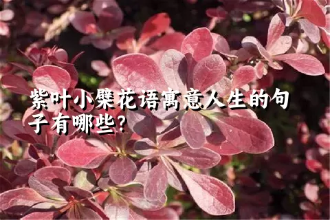 紫叶小檗花语寓意人生的句子有哪些？