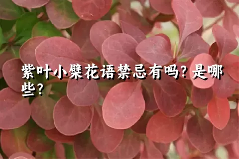 紫叶小檗花语禁忌有吗？是哪些？