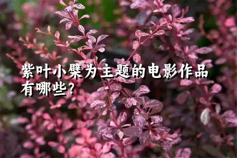 紫叶小檗为主题的电影作品有哪些？