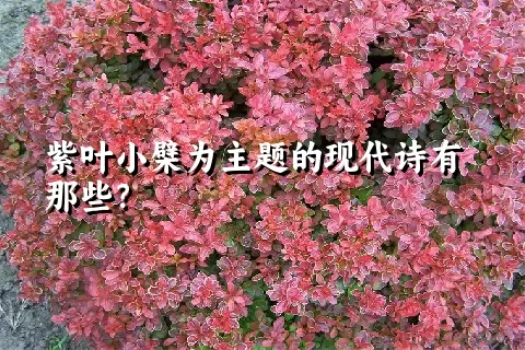 紫叶小檗为主题的现代诗有那些？