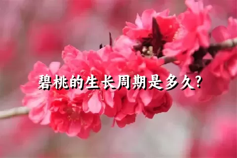 碧桃的生长周期是多久?