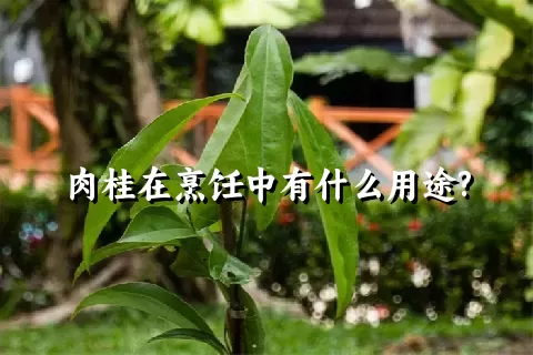 肉桂在烹饪中有什么用途?
