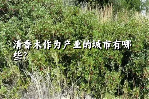 清香木作为产业的城市有哪些？