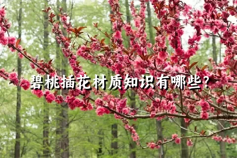 碧桃插花材质知识有哪些？