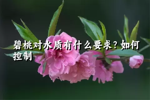 碧桃对水质有什么要求？如何控制
