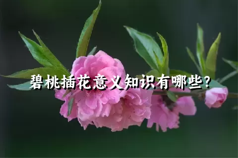 碧桃插花意义知识有哪些？
