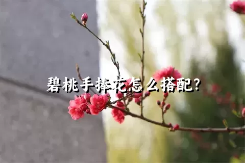 碧桃手捧花怎么搭配？