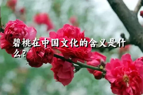 碧桃在中国文化的含义是什么？