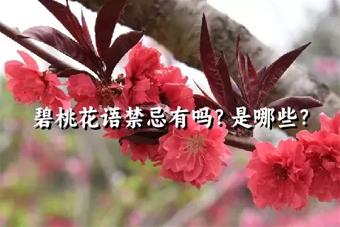 碧桃花语禁忌有吗？是哪些？