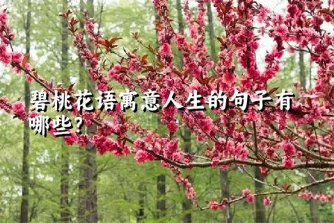 碧桃花语寓意人生的句子有哪些？