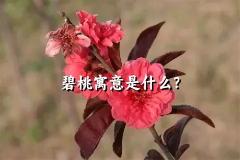 碧桃寓意是什么？