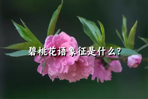 碧桃花语象征是什么？