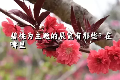 碧桃为主题的展览有那些？在哪里