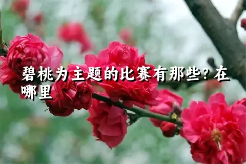 碧桃为主题的比赛有那些？在哪里
