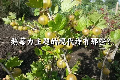 鹅莓为主题的现代诗有那些？