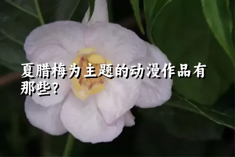 夏腊梅为主题的动漫作品有那些？