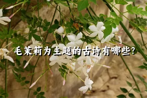 毛茉莉为主题的古诗有哪些？