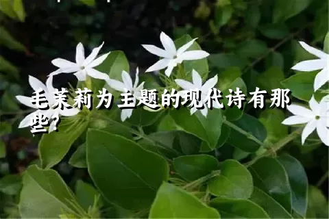 毛茉莉为主题的现代诗有那些？