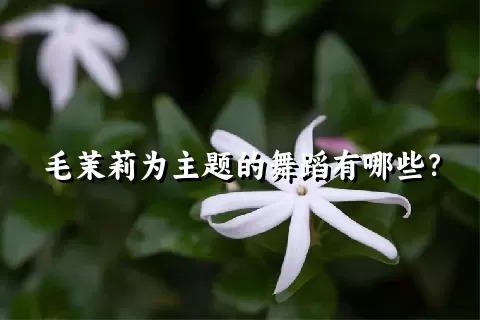 毛茉莉为主题的舞蹈有哪些？