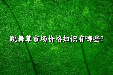 跳舞草市场价格知识有哪些？