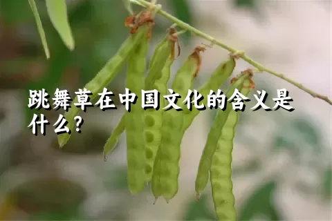 跳舞草在中国文化的含义是什么？