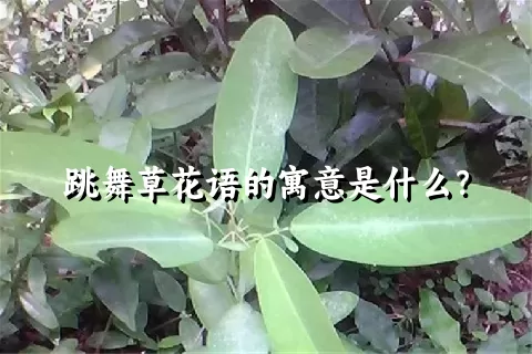 跳舞草花语的寓意是什么？