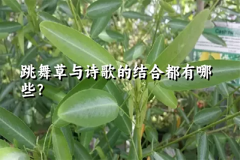 跳舞草与诗歌的结合都有哪些？