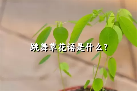 跳舞草花语是什么？
